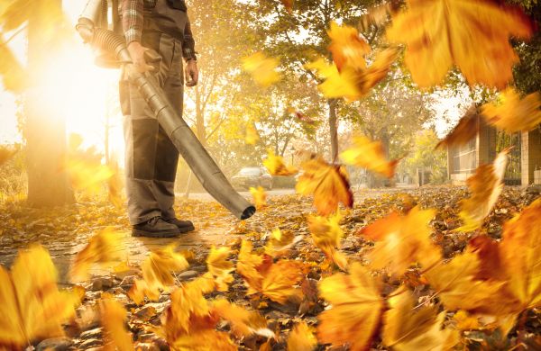 Cost of Leaf Blowing Service in Port Orchard