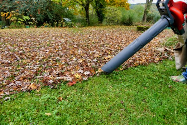 Cost of Leaf Vacuuming Service in Port Orchard