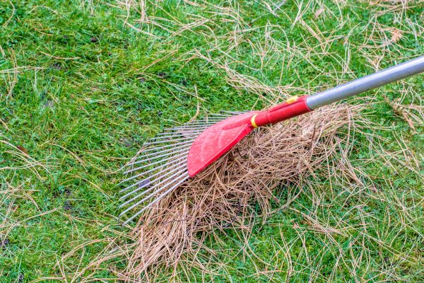Cost of Yard Raking in Port Orchard