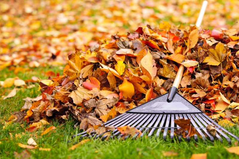 Cleaned-Up Lawn with Fallen Leaves