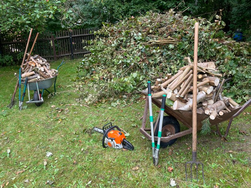 Tree Debris Removal