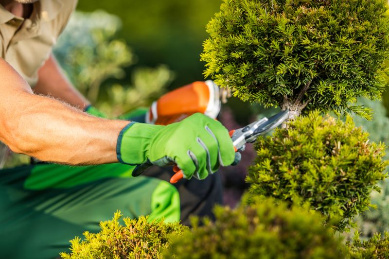 Garden Maintenance Experts
