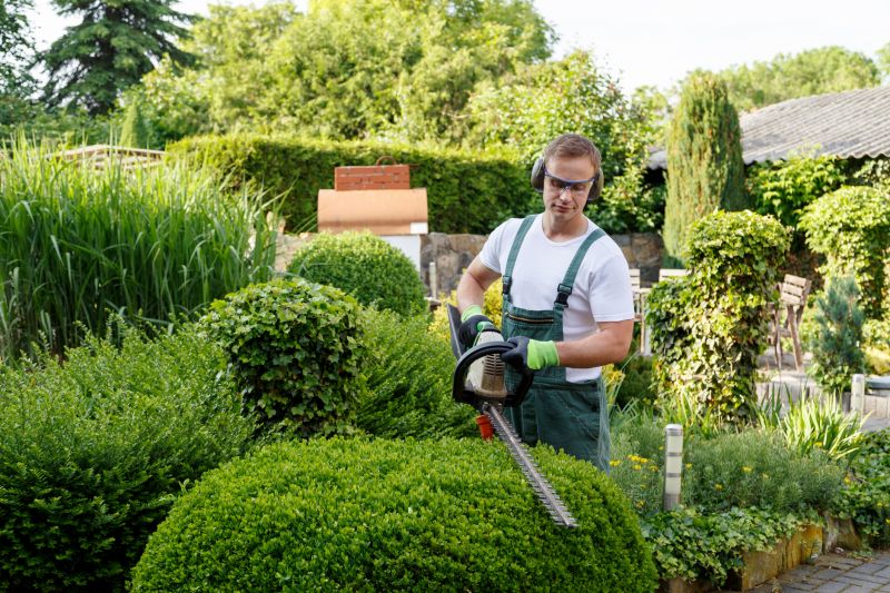 Tree and Shrub Removal Services